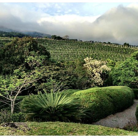 דירות Concepcion  Coffee Garden Ranch Costa Rica מראה חיצוני תמונה
