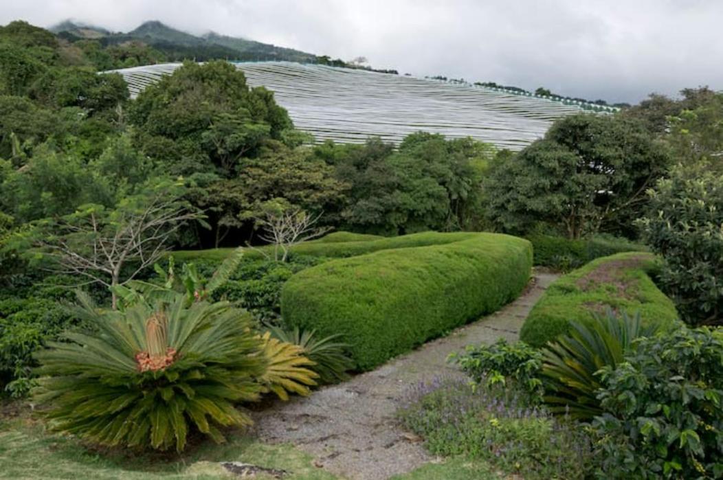 דירות Concepcion  Coffee Garden Ranch Costa Rica מראה חיצוני תמונה