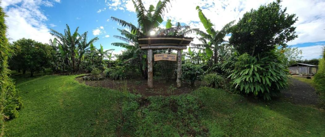 דירות Concepcion  Coffee Garden Ranch Costa Rica מראה חיצוני תמונה