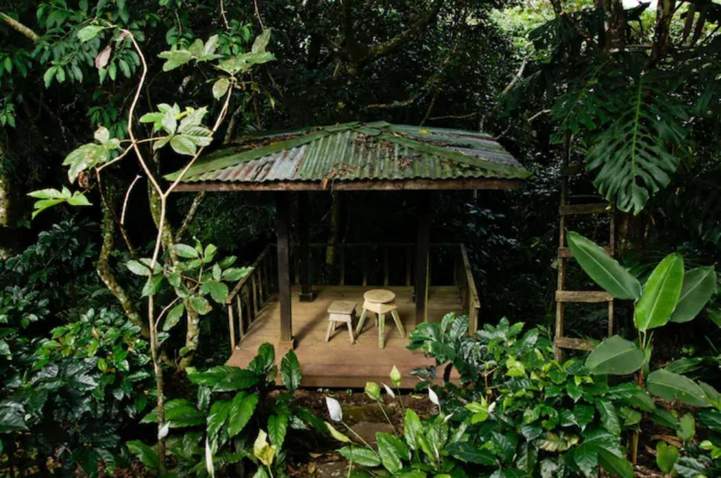 דירות Concepcion  Coffee Garden Ranch Costa Rica מראה חיצוני תמונה