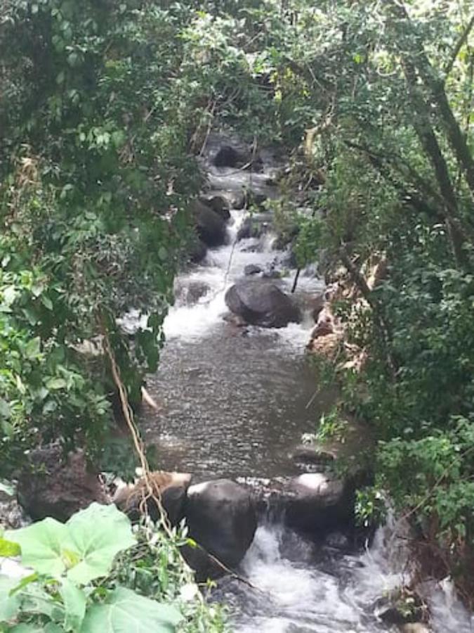 דירות Concepcion  Coffee Garden Ranch Costa Rica מראה חיצוני תמונה
