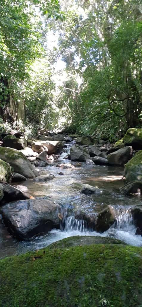 דירות Concepcion  Coffee Garden Ranch Costa Rica מראה חיצוני תמונה
