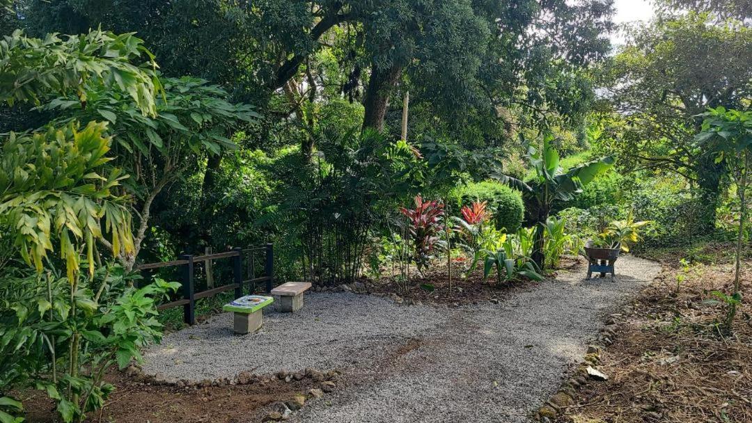 דירות Concepcion  Coffee Garden Ranch Costa Rica מראה חיצוני תמונה