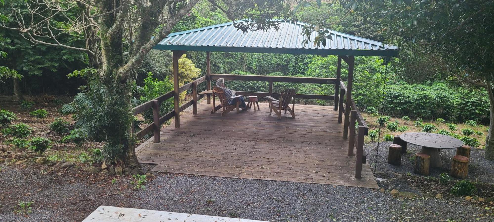 דירות Concepcion  Coffee Garden Ranch Costa Rica מראה חיצוני תמונה